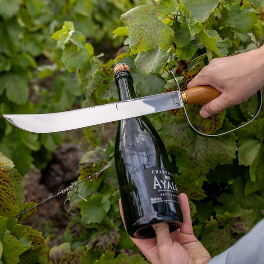 Sabre à champagne en olivier, fabriqué à Thiers – Maison Mouche