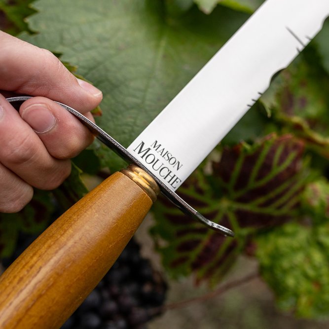 Sabre à champagne en olivier, fabriqué à Thiers – Maison Mouche